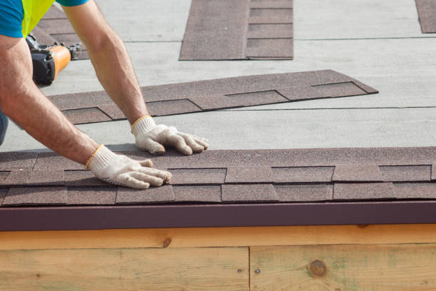 Best Solar Panel Roofing Installation  in Winfield, TN